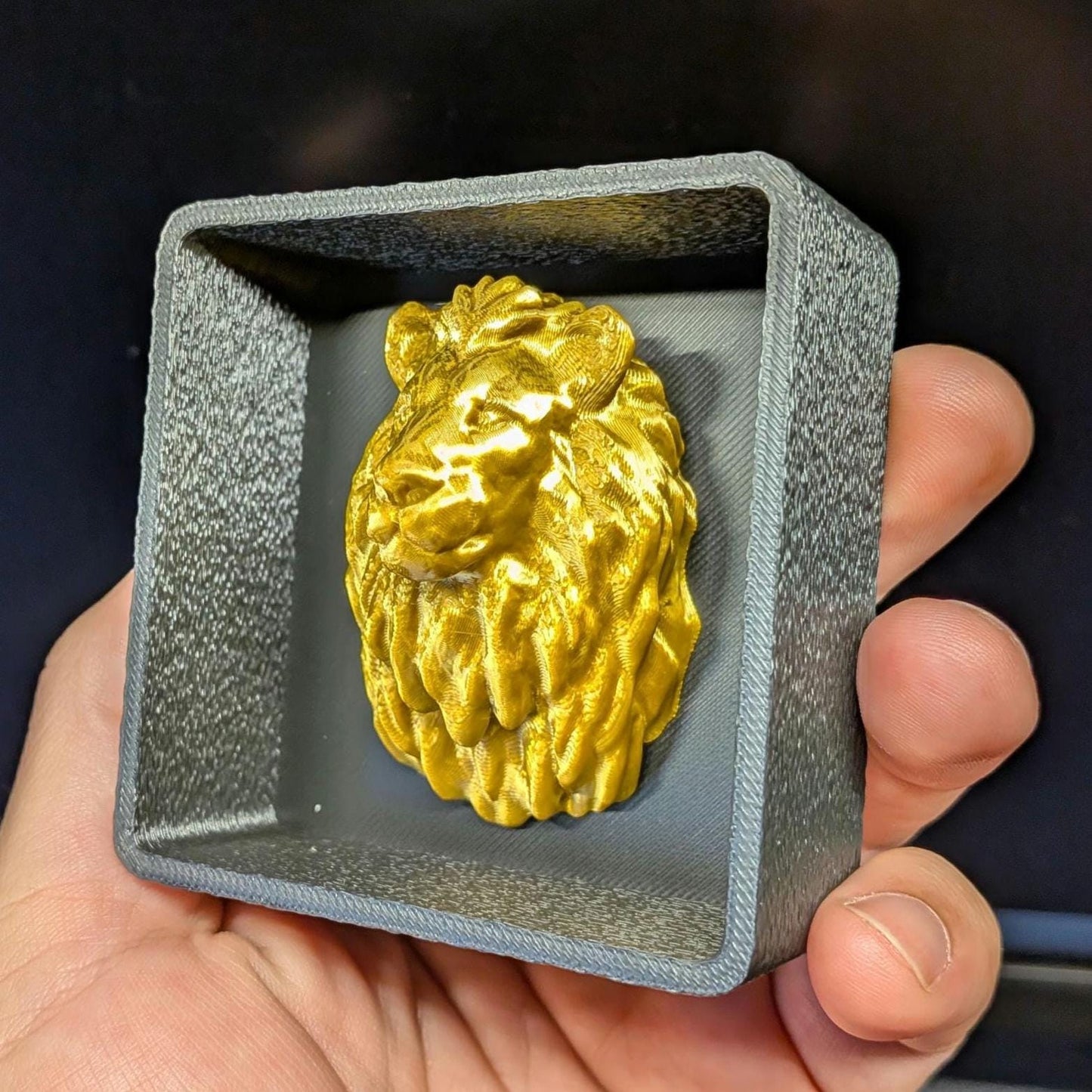 Lion with Shadow Box - Magnetic Display - Decor Decoration