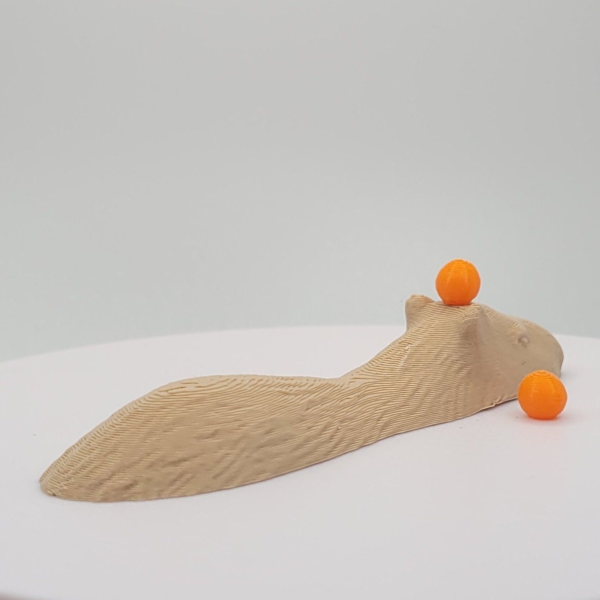 Capybara In the Water Swimming Decoration