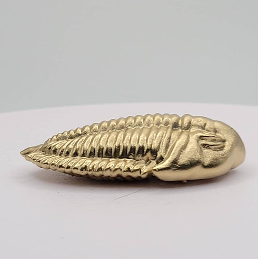 Trilobite Fossil Figurine