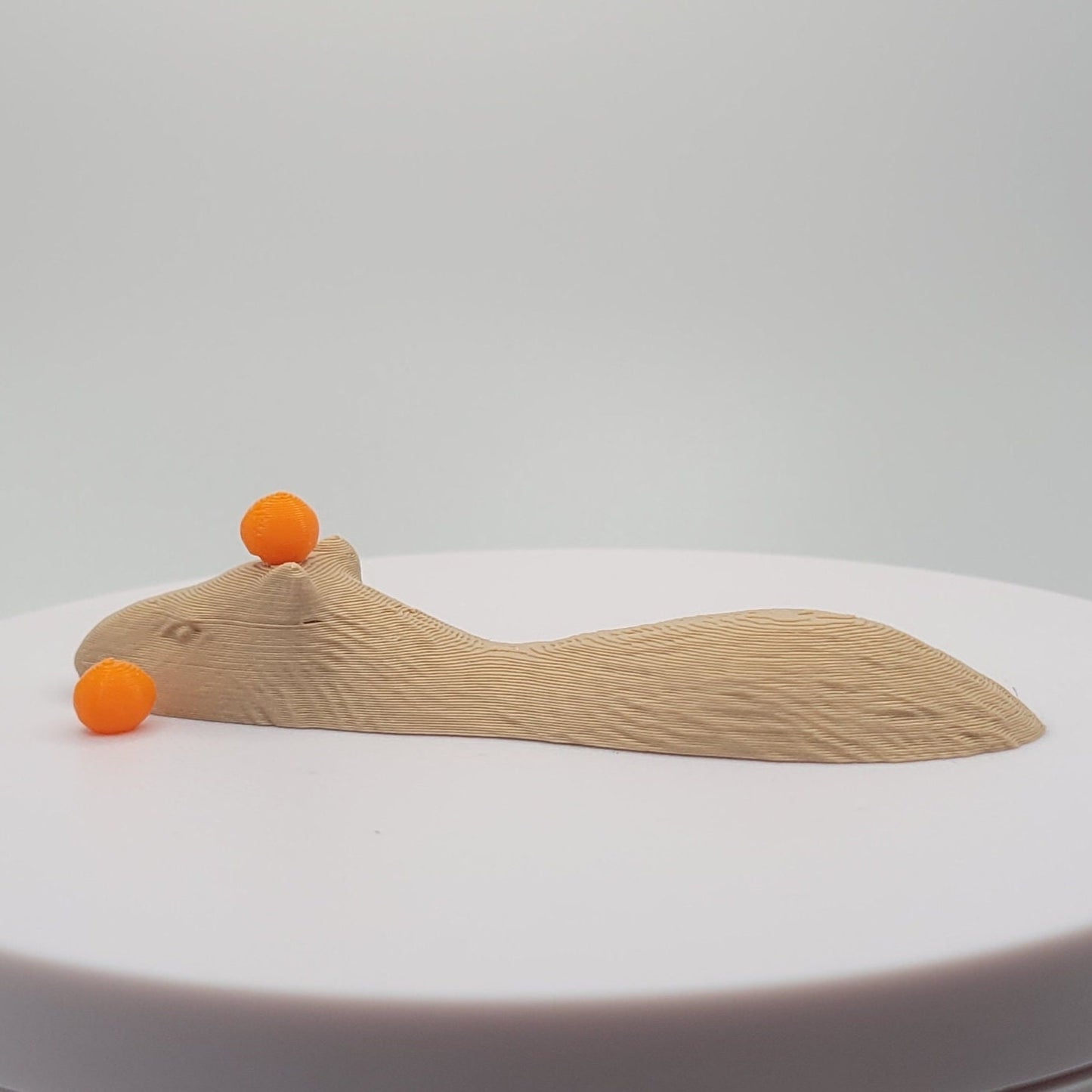 Capybara In the Water Swimming Decoration