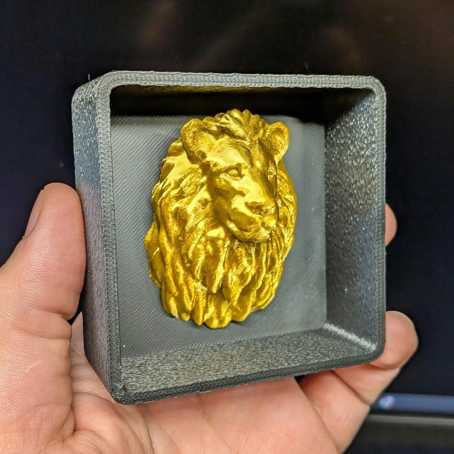 Lion with Shadow Box - Magnetic Display - Decor Decoration