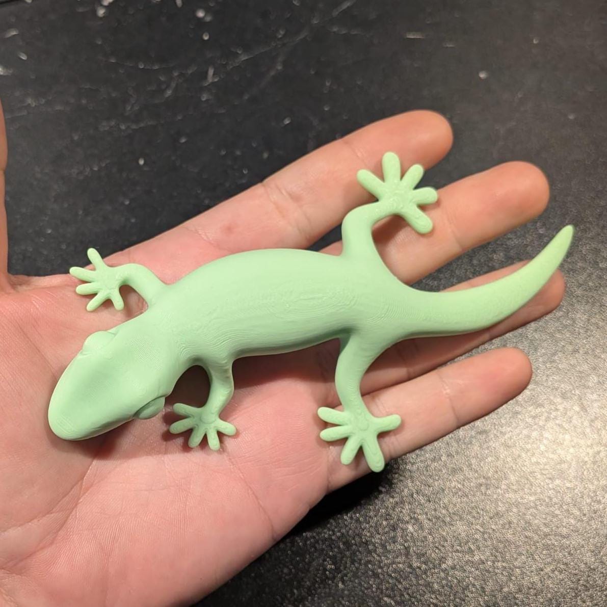 Lizard Gecko Personalized Gift Decor Available in Many Colors