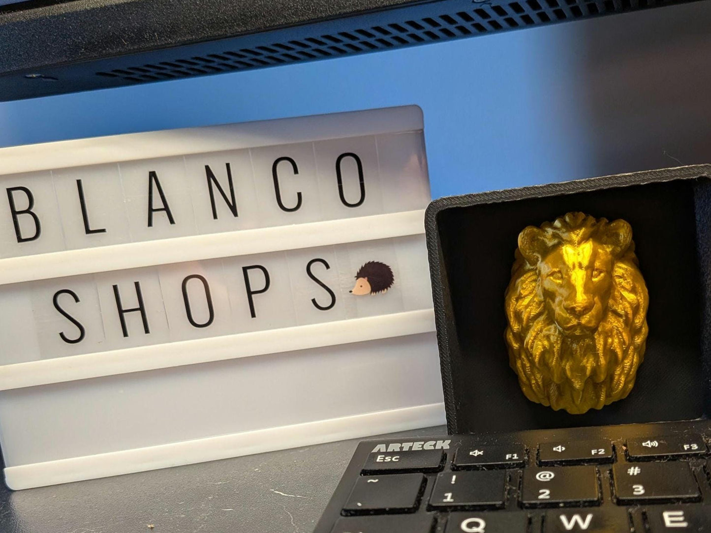 Lion with Shadow Box - Magnetic Display - Decor Decoration
