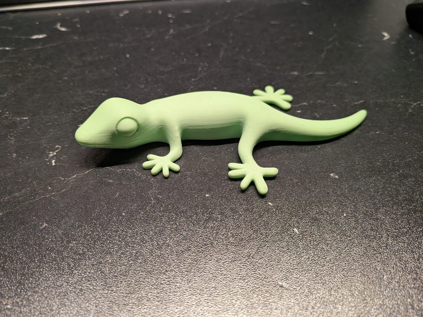 Lizard Gecko Personalized Gift Decor Available in Many Colors