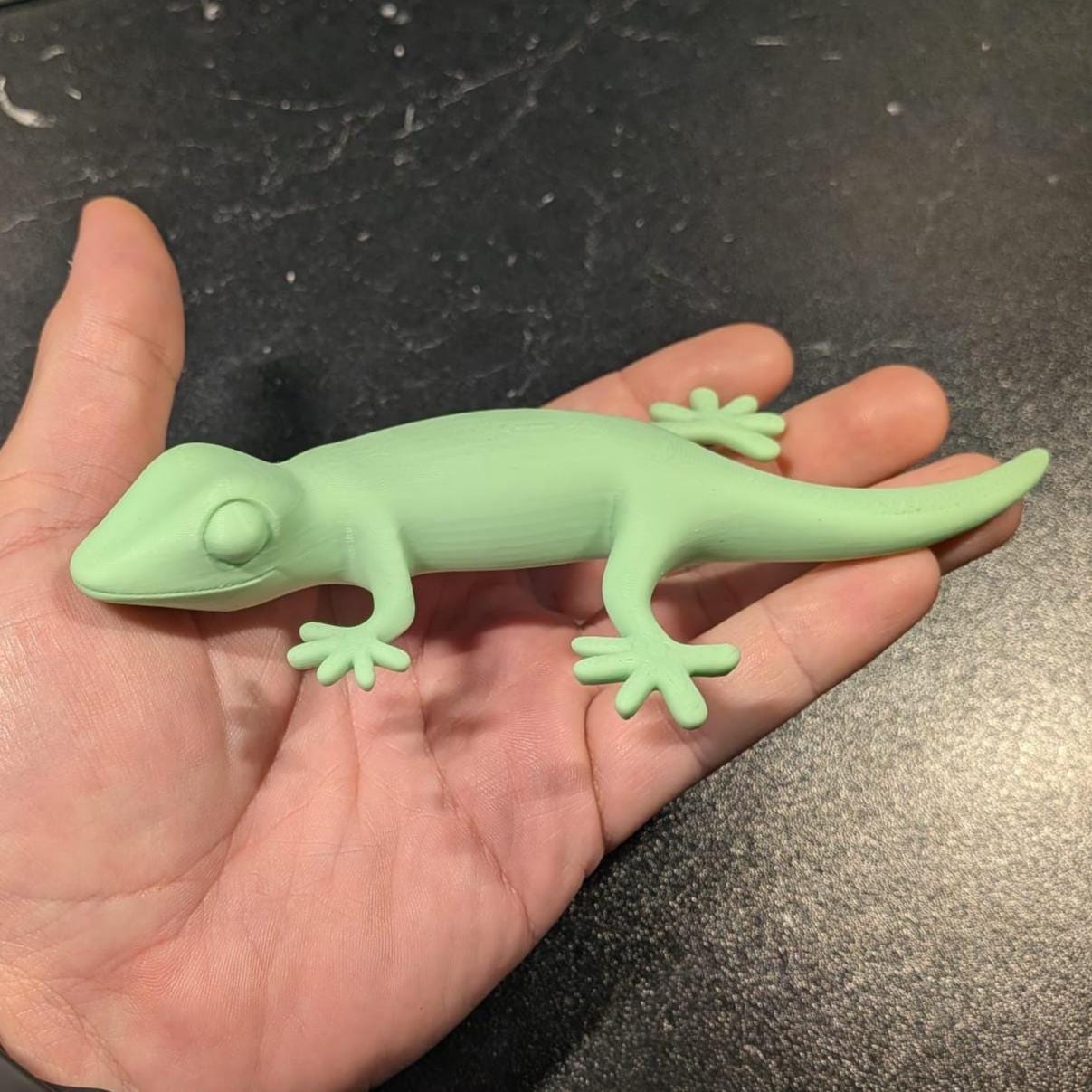 Lizard Gecko Personalized Gift Decor Available in Many Colors