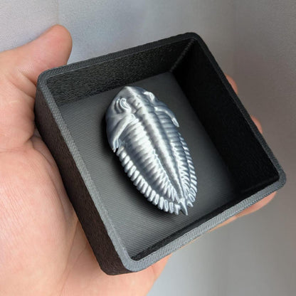Fossil Trilobite with Shadow Box - Magnetic Display