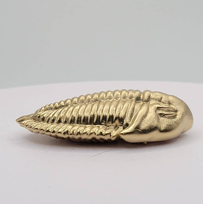 Trilobite Fossil Figurine