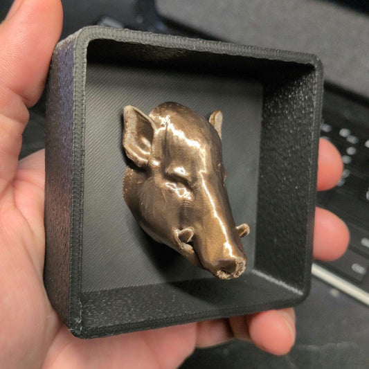 Wild Boar Hog with Shadow Box - Magnetic Display - Decor Decoration Hunting Hunt