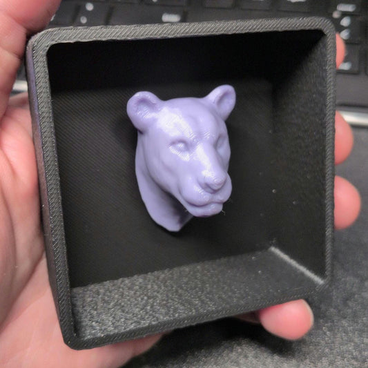 Lioness with Shadow Box - Magnetic Display - Decor Decoration