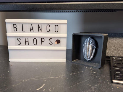 Fossil Trilobite with Shadow Box - Magnetic Display