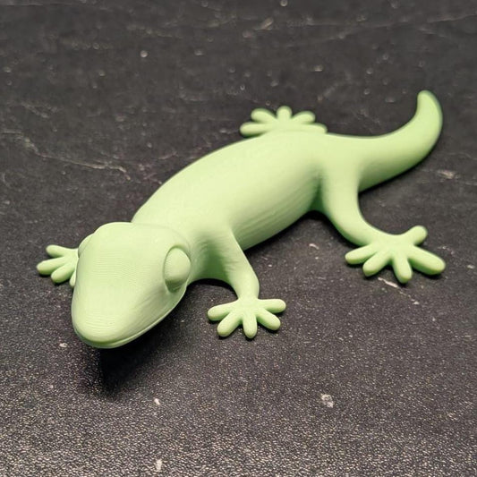 Lizard Gecko Personalized Gift Decor Available in Many Colors
