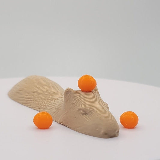 Capybara In the Water Swimming Decoration