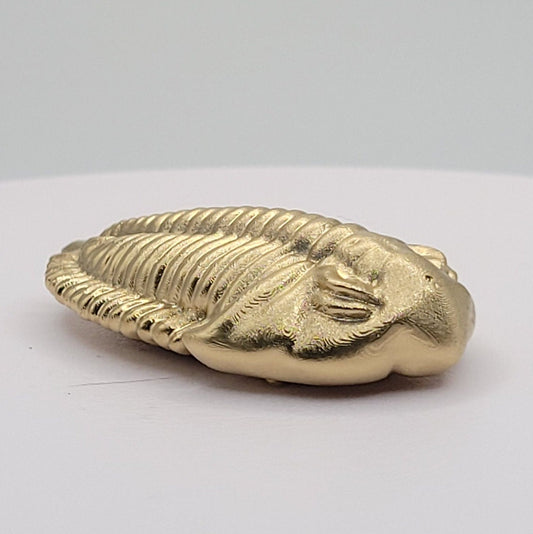 Trilobite Fossil Miniature Figurine